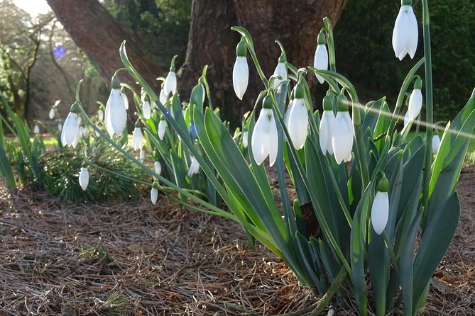 Skip-the-Line: Botanic Garden Entry Ticket - A peaceful walk for adults