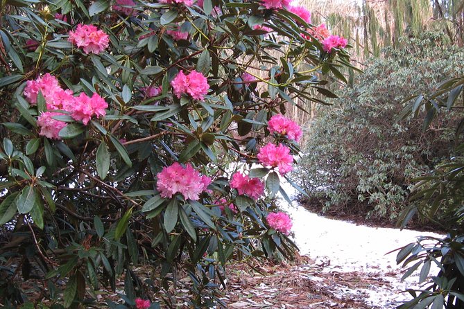 Skip-the-Line: Botanic Garden Entry Ticket - Is the $6.89 price good value?