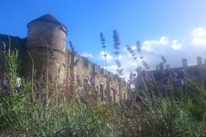 St Andrews, Falkland and Fife Villages Tour from Edinburgh - Why this Fife day trip works from Edinburgh