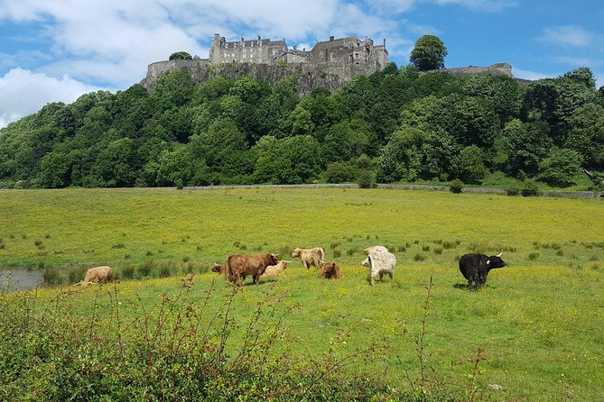 Stirling Castle, Trossachs, Loch Lomond and Whisky Tour - Loch Lubnaig and a fast Trossachs pause