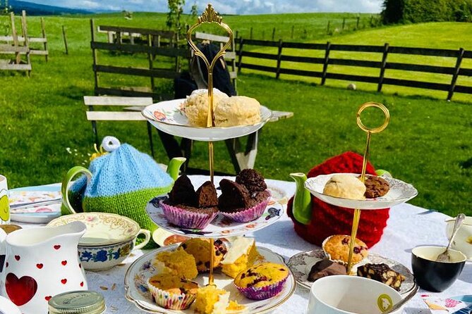 Tea with Naughty Sheep - From garden tea to meadow photographs