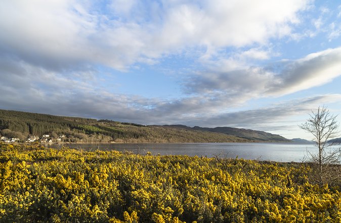 The Complete Loch Ness Experience Small-Group Day Tour from Inverness - Urquhart Castle brings the history into focus