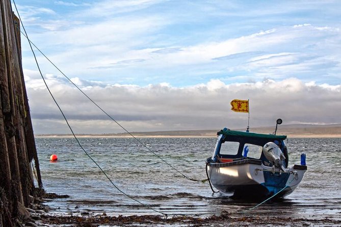 Tours from Invergordon Port - The Dornoch Firth Viewpoint and Falls of Shin
