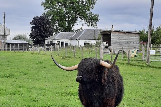 Urquhart Castle, Culloden, Clava Cairns, Loch Ness - Culloden Battlefield: the day’s most powerful stop