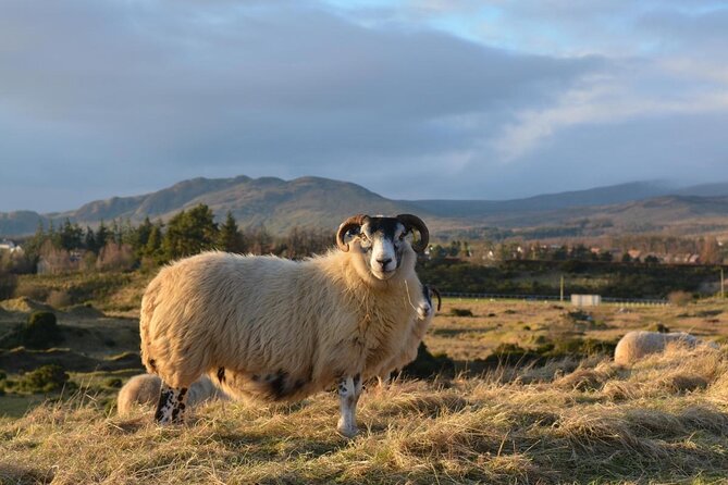 West of Scotland Cultural Tour - Key points at a glance